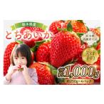 ふるさと納税 いちご 栃木県 那須塩原市 先行予約 栃木県産 とちあいか約250g×4パック 栃木県共通返礼品 ns120-001 果物 いちご とちあいか オリジナル品…