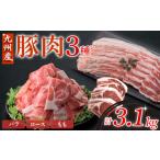 九州産豚肉 3種セット 計3.1kg