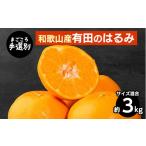 はるみ 3kg