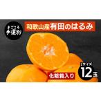 果物類 みかん まごころ手選別 はるみ 化粧箱 約3kg