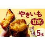 野菜類 サツマイモ 甘熟やきいも 5本