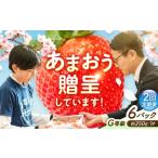 いちご 2回定期便 あまおうG等級 3ケース 250g×6パック