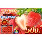 いちご 共通返礼品 定期便3回 ぎっしり とちあいか