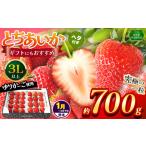 いちご 共通返礼品 1~ 分 とちあいか 3L以上ホール詰め 700g