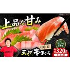 マグロ 全3回定期便 極上 たね熟天然本まぐろ赤身 320g