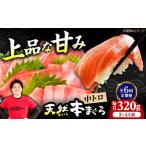 マグロ 全6回定期便 極上 たね熟天然本まぐろ赤身 320g