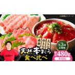 マグロ 全3回定期便 極上 たね熟天然本まぐろ赤身&中トロ&…