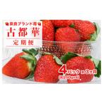 いちご 2027年発送 定期便 全3回 苺 古都華
