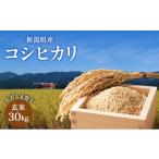 ふるさと納税 玄米 新潟県 上越市 先行予約 10月中旬より順次出荷 令和7年度産 新潟県上越市産 新潟県産コシヒカリ玄米 おおしま育ち 玄米30kg入