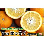 ふるさと納税 みかん・柑橘類 和歌山県 広川町 はっさく 10kg+250g（痛み補償分） 家庭用 光センサー ／ 八朔 訳あり 甘い 和歌山 有田 柑橘 1月上旬〜4月上旬…