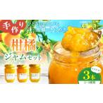 ジャム オレンジ 柑橘 おまかせ 3本
