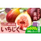 ふるさと納税 いちじく 和歌山県 岩出市  先行予約 お試し小容量 完熟いちじく 約600g (300g×2パック) パック いちじく イチジク 無花果 JAわかやま 紀の里地…