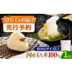 米 パン 餅 みたけのし餅 5合