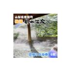 温泉 サウナ スパ利用券 秘湯 奥山温泉 日帰り入浴券