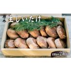 fu.... налог овощи вид .. . Kanagawa префектура 2 Miyacho . дерево сырой ....| шиитаке .... . грибы . мясо толщина зуб ... аромат Kanagawa префектура . дерево сырой .... сырой .. жарение предмет...
