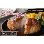ふるさと納税 肉 ハンバーグ 静岡県 御殿場市 網巻き手ごねハンバーグセット(12個入り) |黒毛和牛 A5 牛肉 豚肉 冷凍 個包装 小分け 晩ご飯 夜ご飯 おかず …