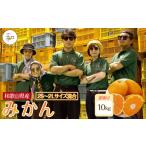 ふるさと納税 果物類 みかん 和歌山県 那智勝浦町 訳あり 森本農園の手選別 みかん 約10kg 和歌山県産 2S~2Lサイズ混合 ［北海道・沖縄・離島配送不可］［RN43…