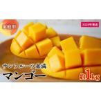 ふるさと納税 マンゴー 沖縄県 宜野座村  2026年発送 サンフルーツ糸満のマンゴー家庭用 約1kg 産地直送 先行予約 フルーツ 果物 くだもの アップルマンゴー …