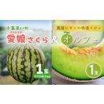 ふるさと納税 メロン 新潟県 小千谷市 先行予約 小玉スイカ「愛娘」&メロン「オルフェ」セット 各1玉 農園ビギン 0002-0332-01