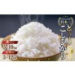 ふるさと納税 無洗米 愛知県 田原市 5kg :3か月 定期便 数量限定 こしひかり 5kg 10kg 定期便 選べる お米 おこめ 米 コメ ごはん コシヒカリ ご飯 ブランド…