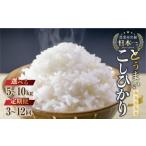 ふるさと納税 無洗米 愛知県 田原市 5kg :6か月 定期便 数量限定 こしひかり 5kg 10kg 定期便 選べる お米 おこめ 米 コメ ごはん コシヒカリ ご飯 ブランド…