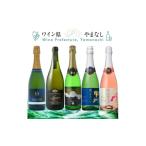 ふるさと納税 ワイン 