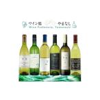 ワイン 白ワイン スタンダードワイン6本セット