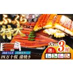 極上 うなぎ四万十桜 蒲焼き3尾 通常サイズ