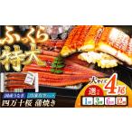 うなぎ 6回定期便 極上 うなぎ四万十桜 蒲焼き4尾