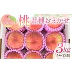 ふるさと納税 もも 福島県 須賀川市 桃 品種おまかせ 3kg 9〜12個 もも 贈答 プレゼント 佐藤果樹園 モモ 桃 デザート フルーツ 果物 F7X-0281