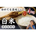 米 コシヒカリ R8年産新米 白米4kg 特A米