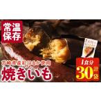 野菜類 サツマイモ 太陽の紅はるか 焼き芋