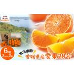 果物類 みかん \農園直送 愛果28号 3kg×2箱