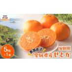 ふるさと納税 果物類 みかん 愛媛県 伊方町  先行予約 数量限定 ＼農園直送／愛媛県産せとか5kg×1箱（家庭用）（2026年2月下旬より順次発送） ふるさと納税 …