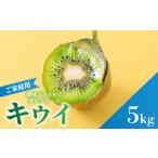 ふるさと納税 果物類 愛媛県 松山市 キウイフルーツ ヘイワード 5kg サイズ混合 家庭用 先行予約 2026年10月下旬から発送 | きうい 果物 キウイくだもの フル…
