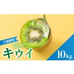果物類 キウイフルーツ ヘイワード 10kg