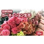 花 特産 カーネーション 生花 20本