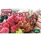 花 特産 カーネーション 生花 40本