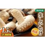 しいたけ 産生しいたけ 1.5kg