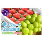 ぶどう マスカット 定期便 冬のフルーツ2回定期便