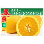 ふるさと納税 みかん・柑橘類 オレンジ 和歌山県 有田川町 バレンシアオレンジ 国産 玉ぞろい 秀品 箱込 5kg (内容量 4.4kg ) 2L L M サイズのいずれか 和歌山…