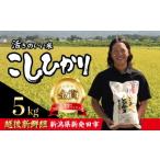 ふるさと納税 米 コシ