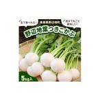 人参 大根 他根菜 生で食べられる 皮まで丸ごと美味しい