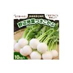人参 大根 他根菜 生で食べられる 皮まで丸ごと美味しい