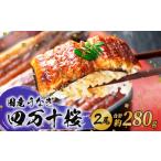 ふるさと納税 うなぎ 高知県 南国市 贈答用 極上国産うなぎ四万十桜 蒲焼き約140gx2尾 | うなぎ 鰻 蒲焼き 国産 四万十鰻 白焼き 調理済み タレ付き ギフト(…