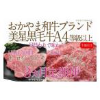 牛肉 セット 定期便3か月 岡山 黒毛和牛 美星牛