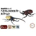 玩具 クラファン支援対象返礼品 模型 昆虫