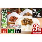 缶詰 瓶詰 野菜類 ねぎ味噌 グリーン ブラック