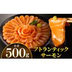 ふるさと納税 鮭・サーモン 宮崎県 宮崎市 アトランティックサーモン 500g_M372-002-01 11,000円 500g