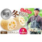 人参 大根 他根菜 年明け発送 れんこん2kg